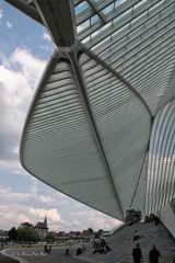 Meine Ansicht vom Bahnhof Liège-Guillemins (Übersicht)