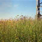 Meine Arbeit - Ein Platz an der Sonne