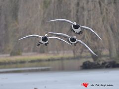 ..Meine Arbeitszeit verging wie im Flug..