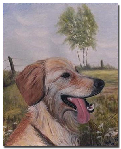 Meine ASTA Foto & Bild | kunstfotografie & kultur, gemälde & skulpturen