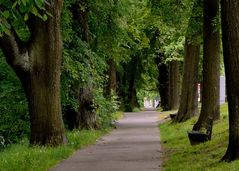 Meine Augsburger Ansichten - Grüne Ruhe-Insel