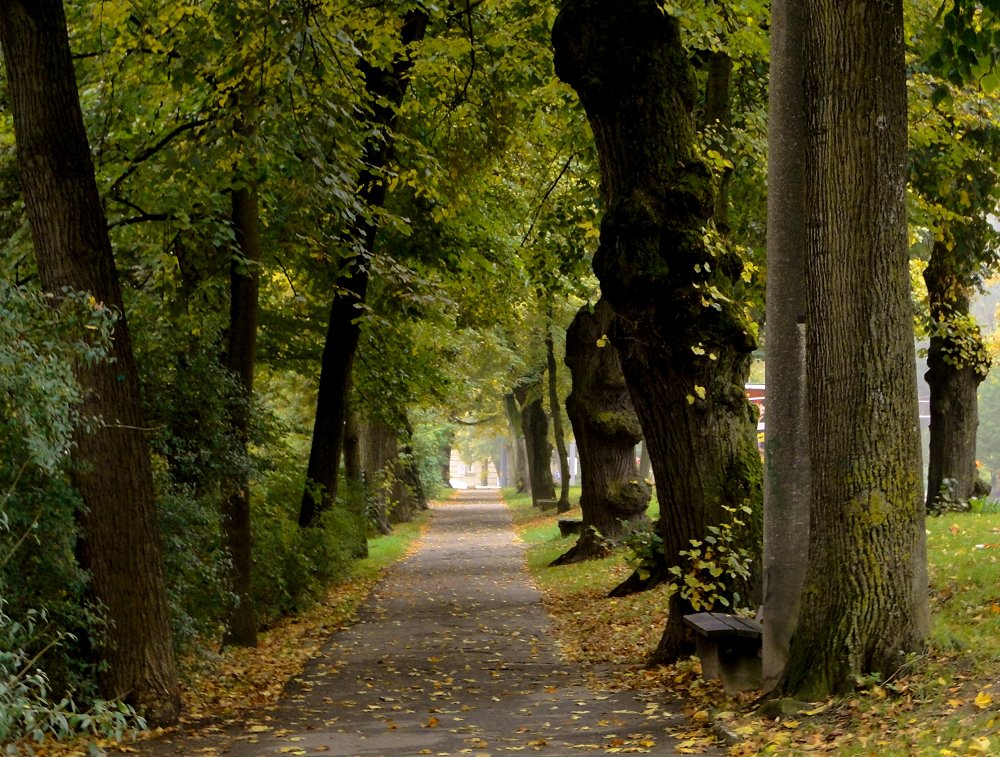 Meine Augsburger Ansichten - Herbst-Ruhe ..