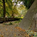 Meine Augsburger Ansichten - Nah am Herbst ...