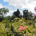 Meine Aussicht von der Terrasse auf das Tiefgaragendach und weiter....