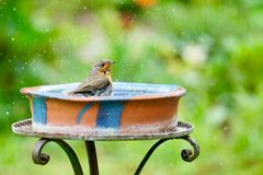 meine Badewanne