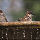 Meine Badewanne.....nee  meine.....