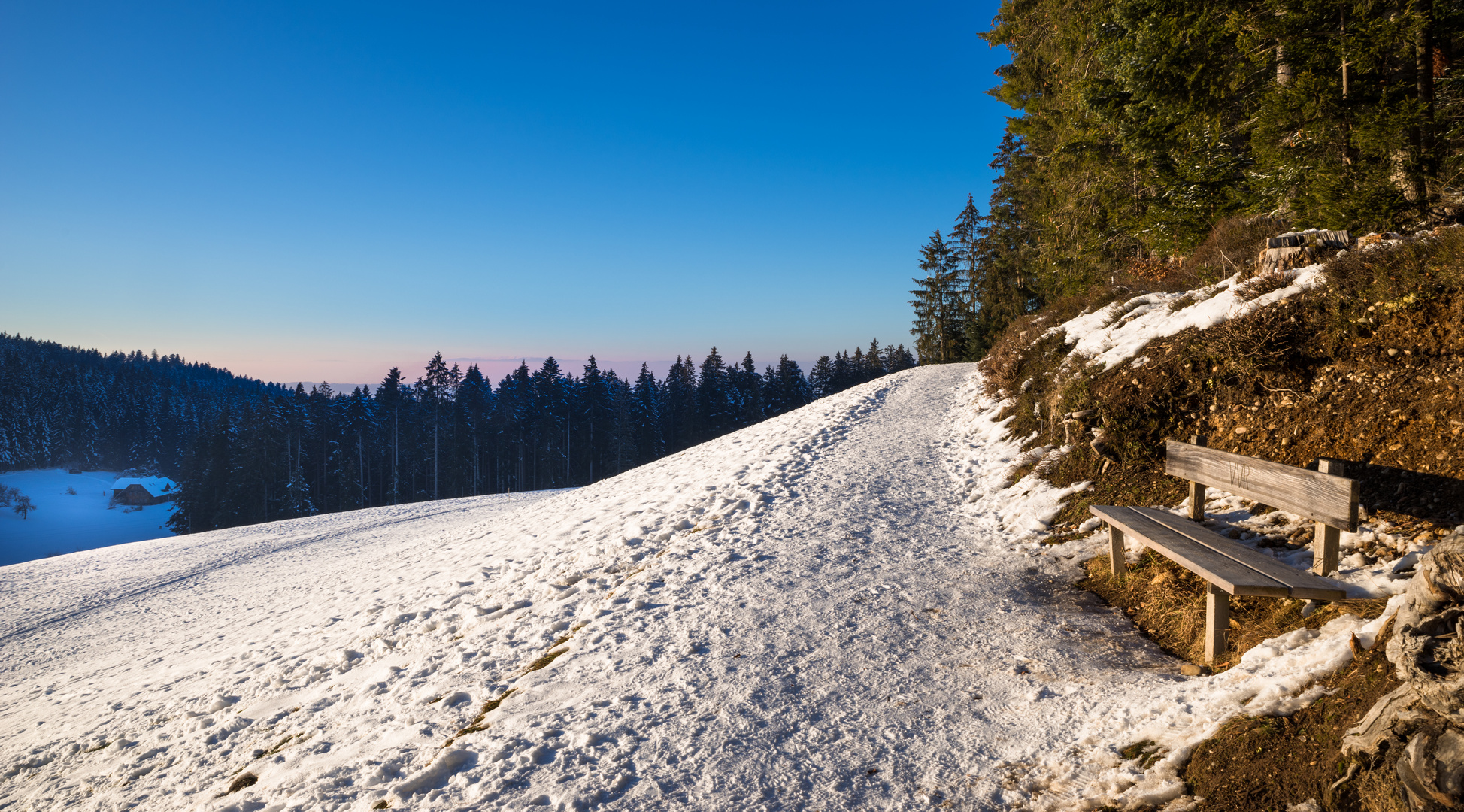 Meine Bank an der Abendsonne