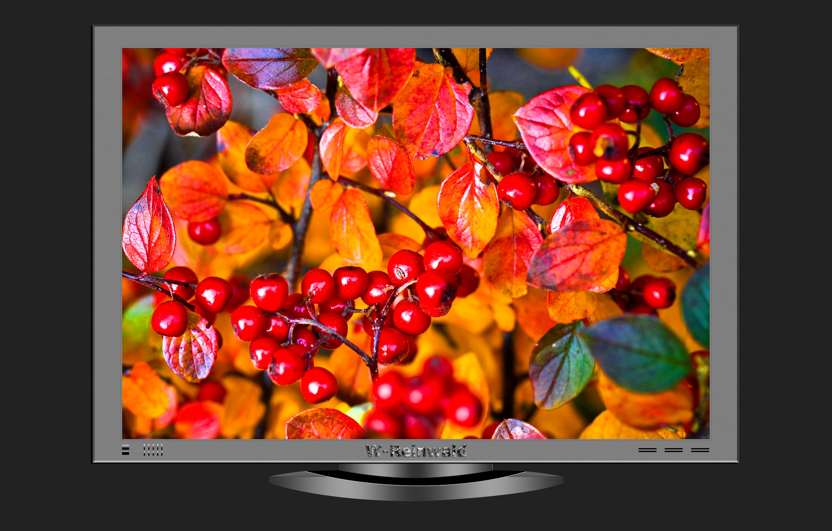 Meine Beeren im Bayerischen Fernsehen