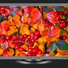 Meine Beeren im Bayerischen Fernsehen