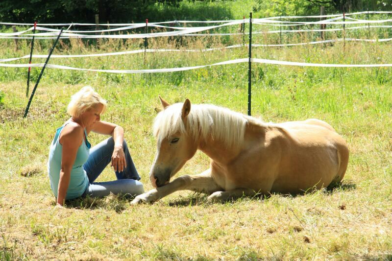 meine beiden Blondinen