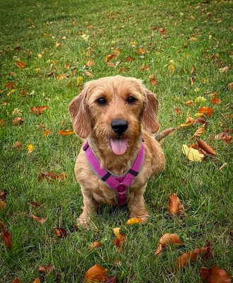 Meine beste Freundin...