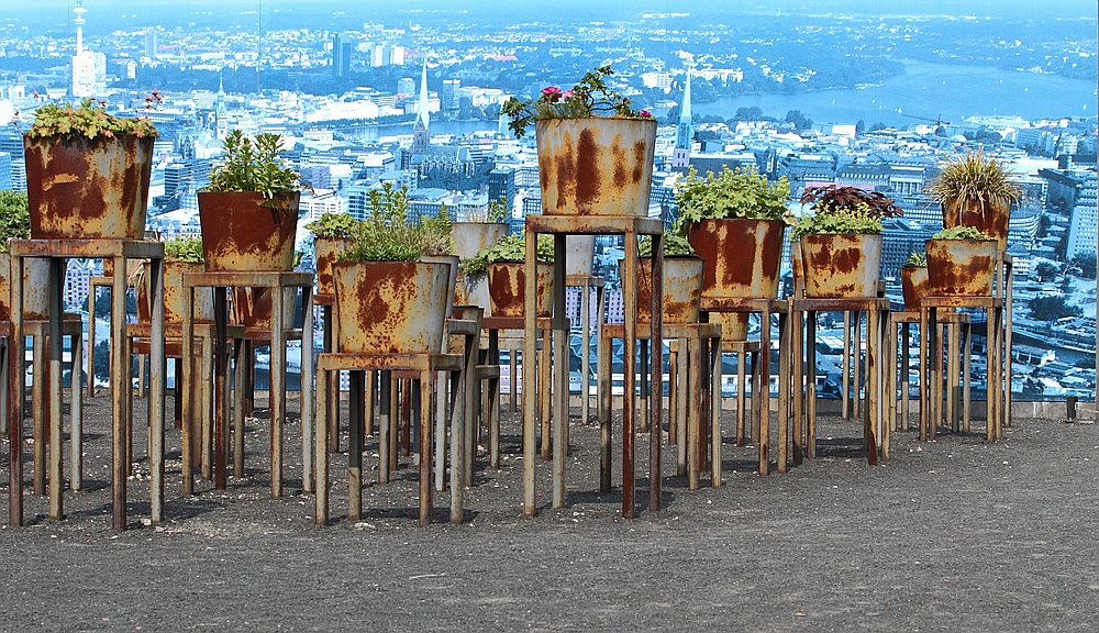 Meine Blumentöpfe