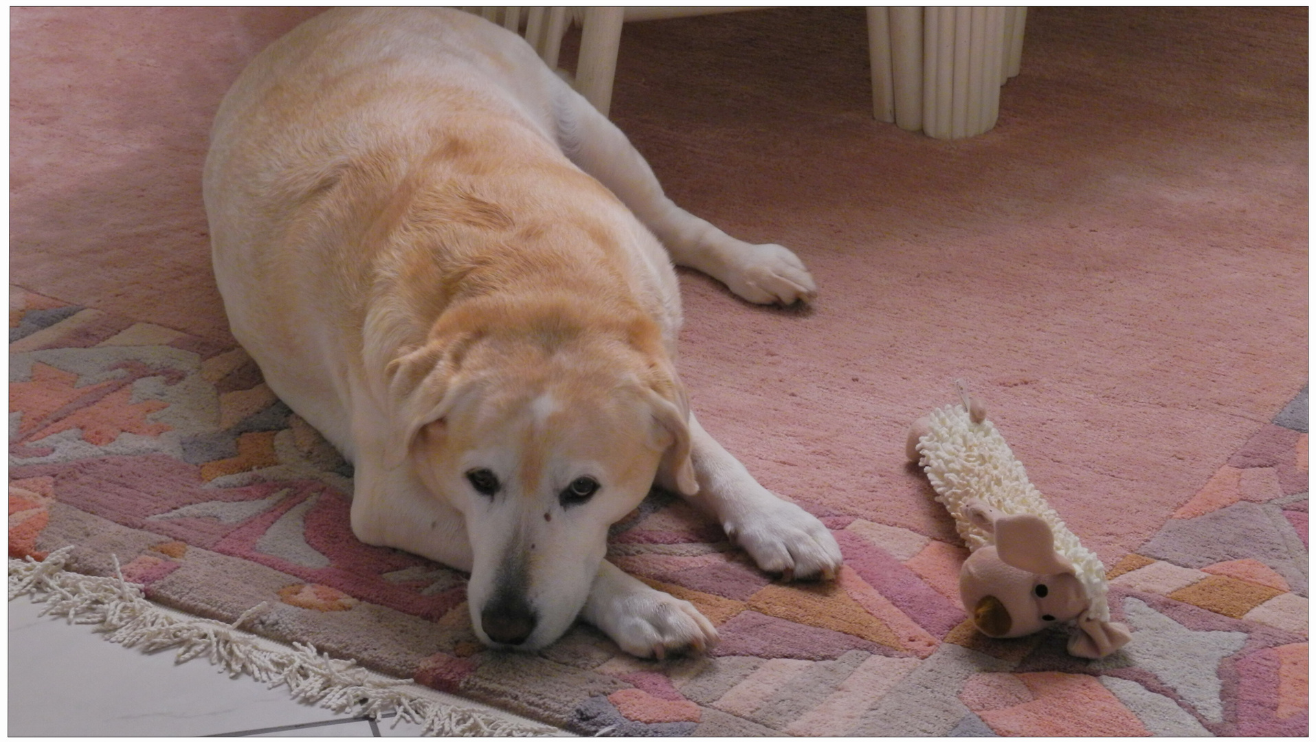 Meine Bonnie mit ihrem neuen Plüschtier (Mi Bonnie con su peluche nuevo)