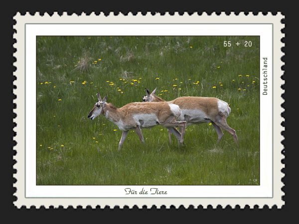 Meine Briefmarke: für die Tiere