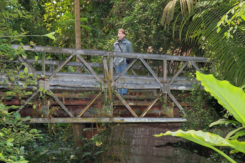 Meine Brücke