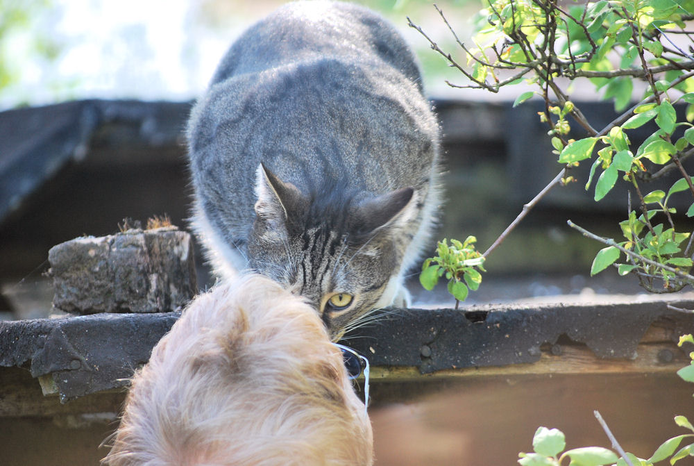 Meine Bussi-Bussi-Gesellschaft ;-)