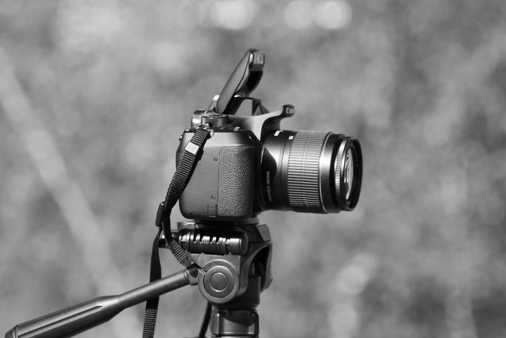 meine Canon eos 1300d Foto & Bild | technik, fotos, natur Bilder auf ...