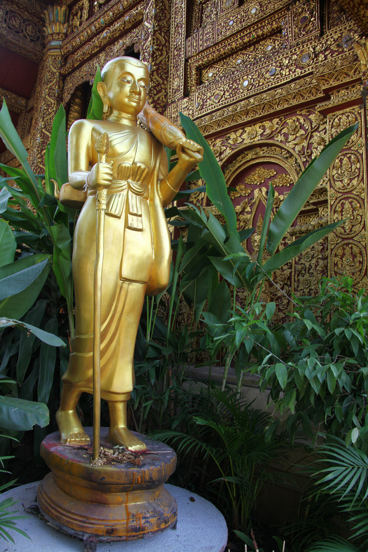 Meine Chiang Mai Tour 7