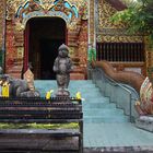 Meine Chiang Mai Tour 7