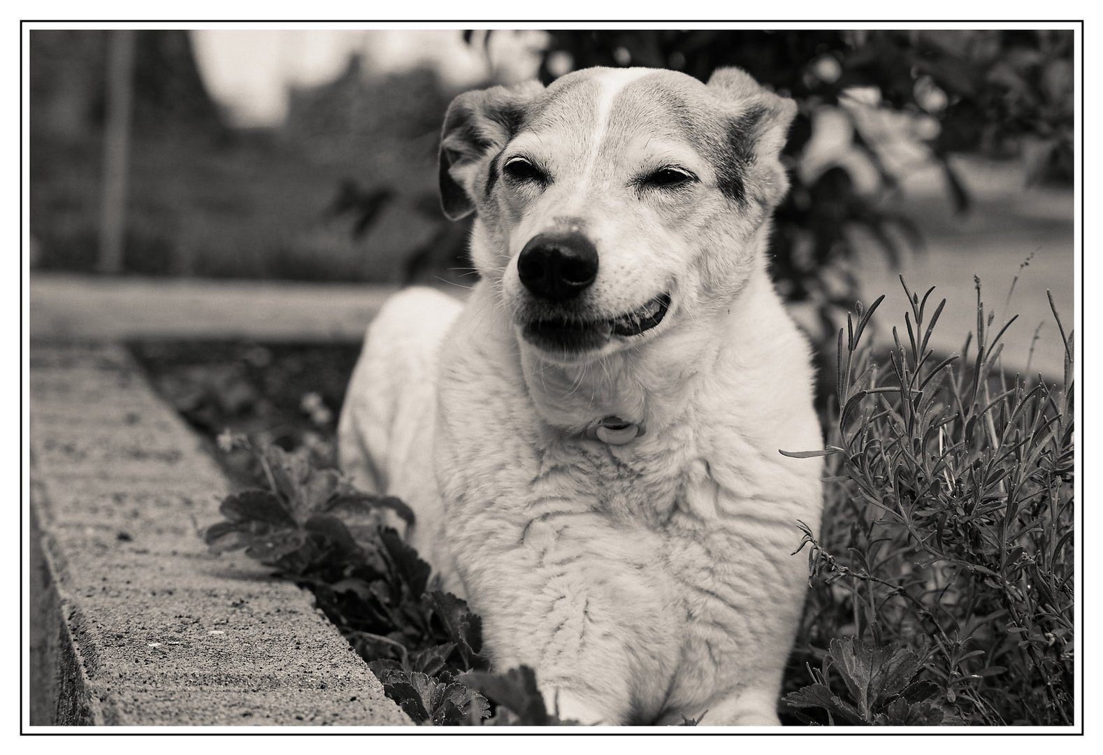 Meine Diva kann sogar grinsen!