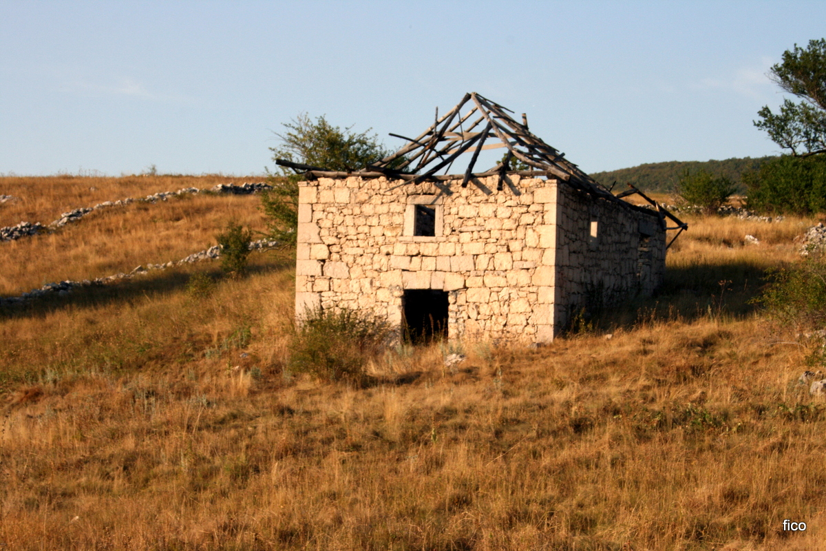 meine dorf