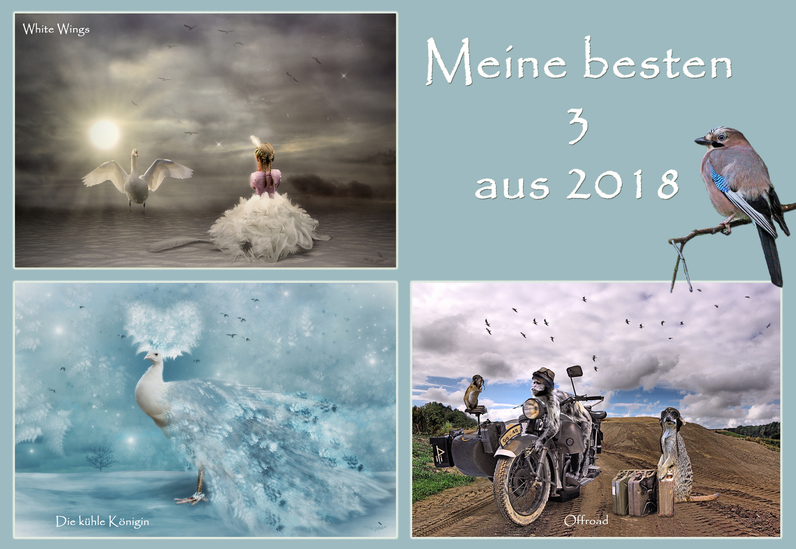 Meine drei aus 2018