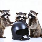 "Meine Drei mit Onkel Willi's Motorradhelm."