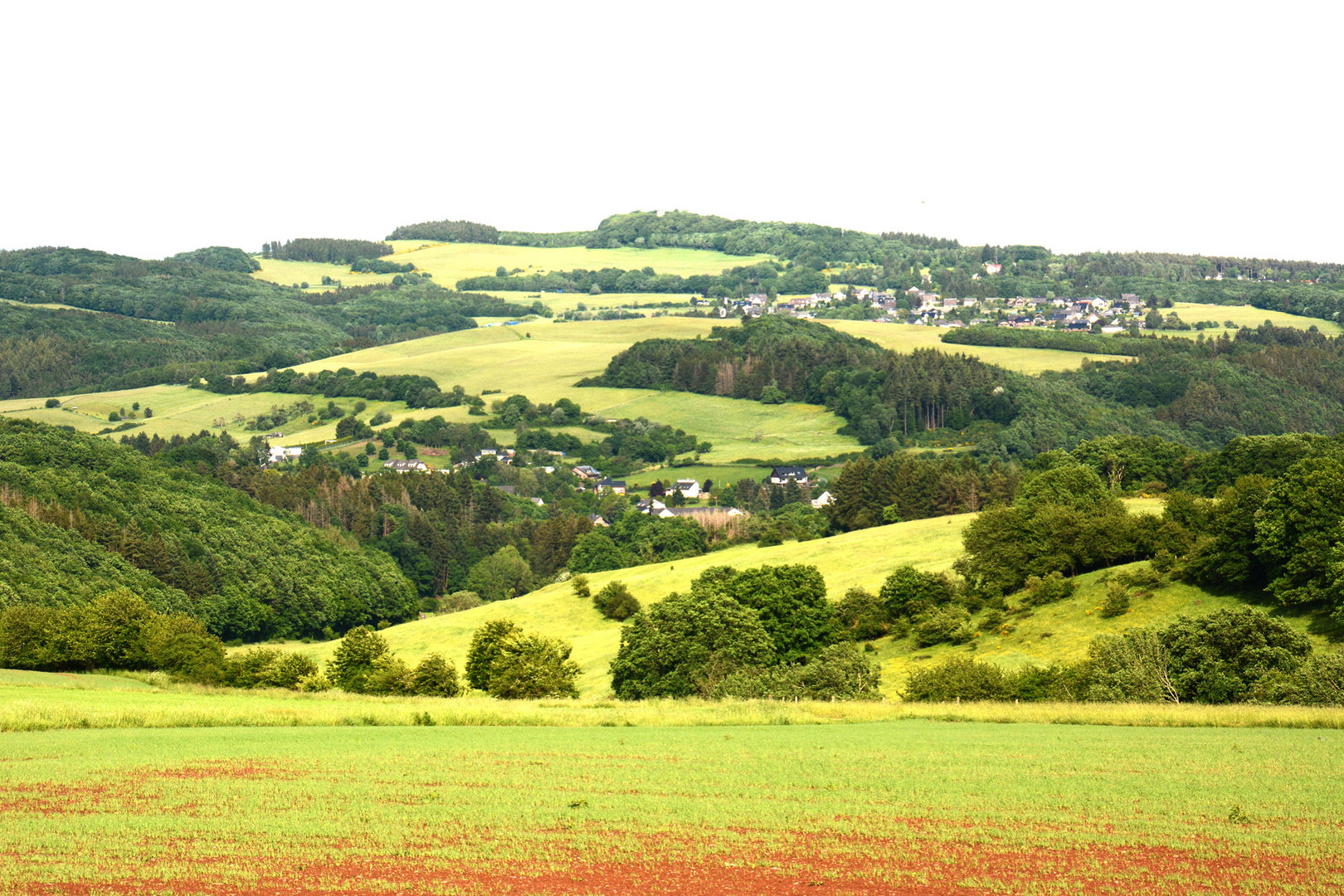 Meine Eifel prahlt in vollem Grün