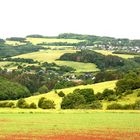 Meine Eifel prahlt in vollem Grün