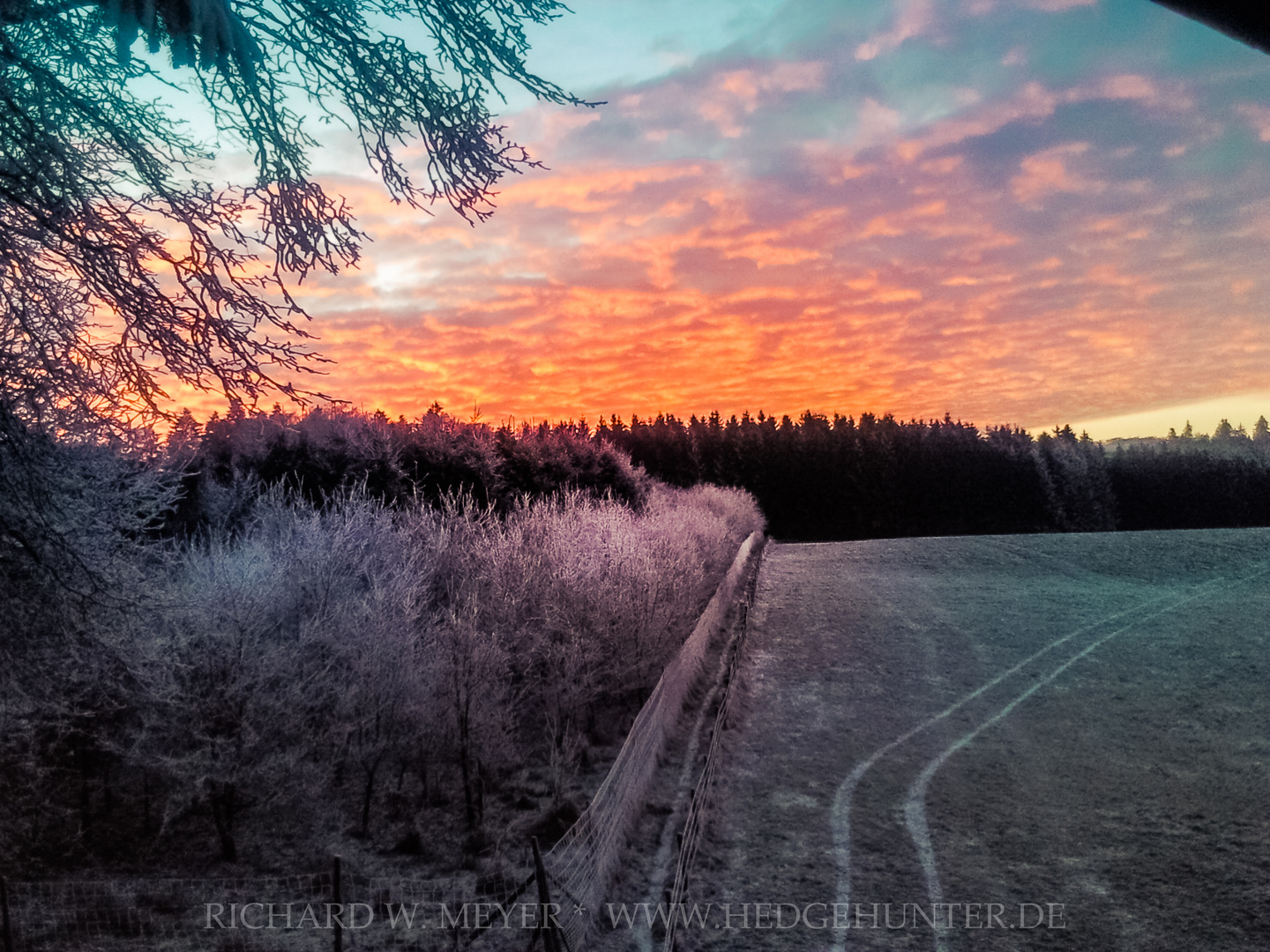 Meine Eifelhimmel  neu-