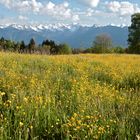 Meine eigentliche Heimat - seit der Kindheit: Vorarlberg/Österreich.