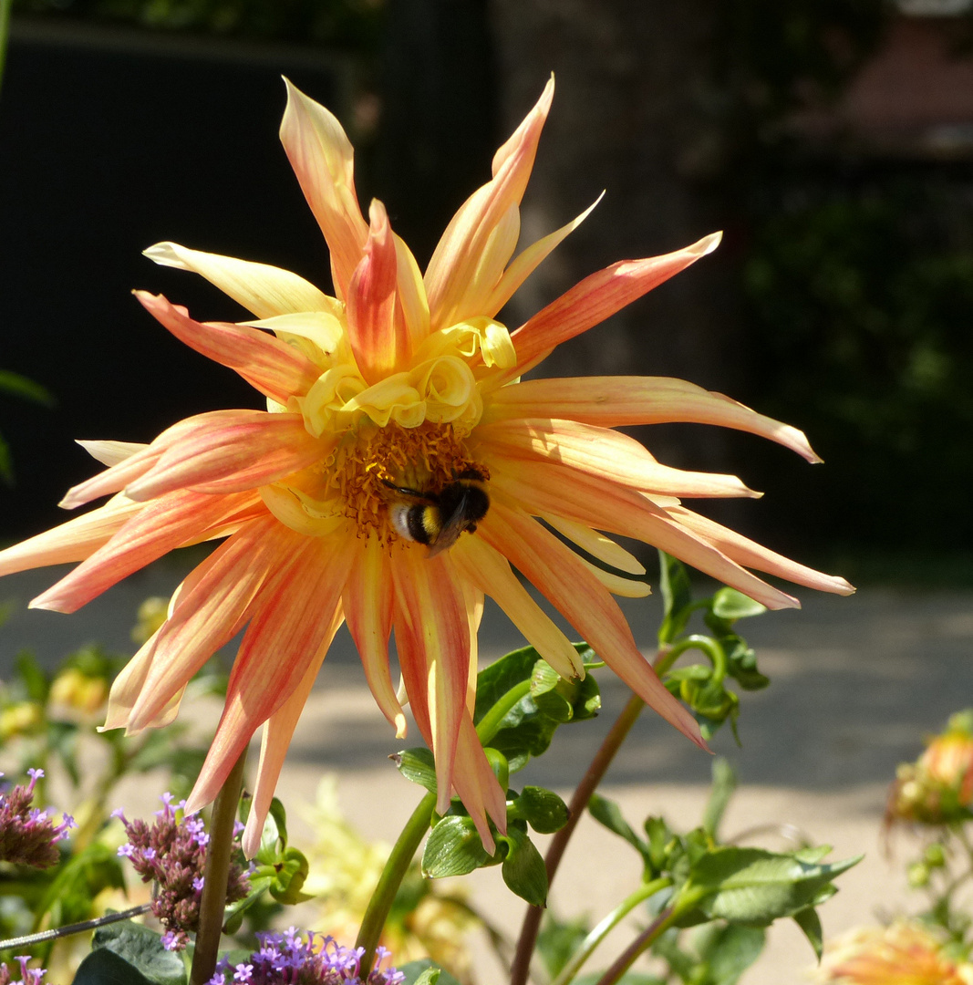 Meine Enkelin Nadine besuchte die Landesgartenschau in Burg 