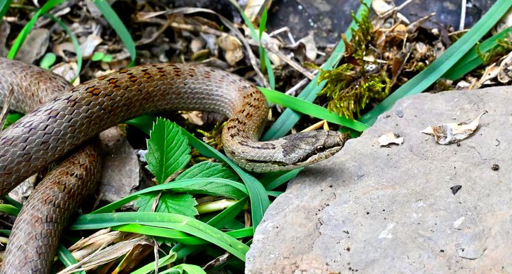 Meine Erste dieses Jahr