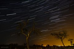 Meine erste Startrail-Aufnahme