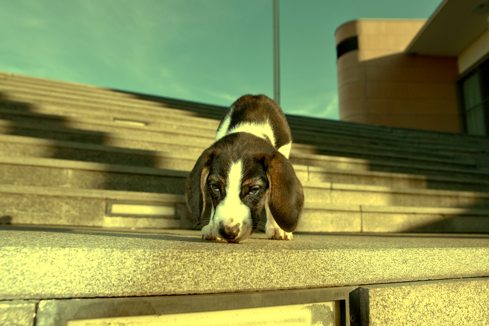 Meine Erste Treppe