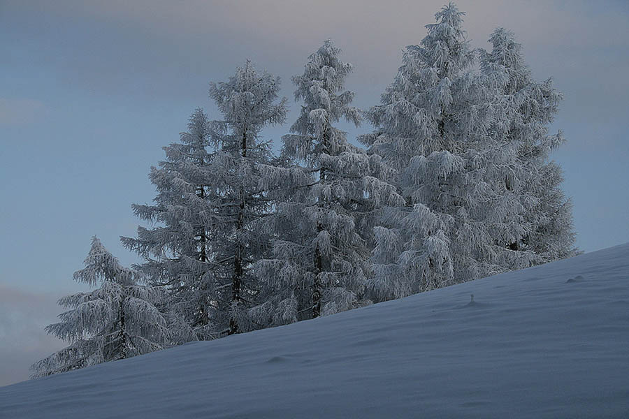 Meine erste Winterlandschaft