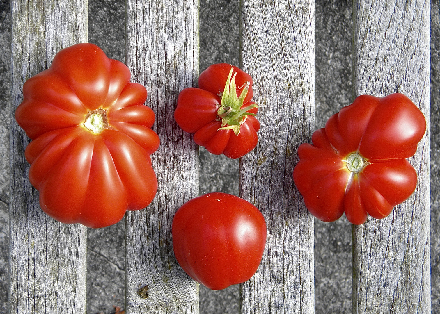 Meine ersten Fleischtomaten!