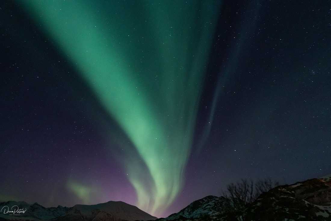 Meine ersten Nordlichter