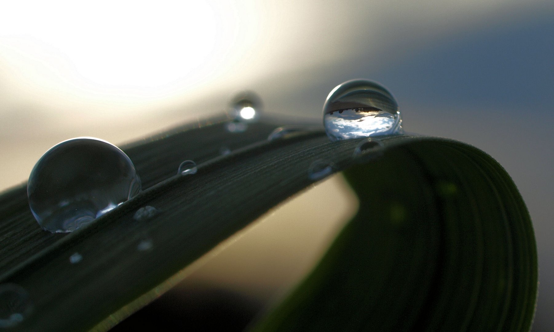 Meine ersten Versuche - Wassertropfen