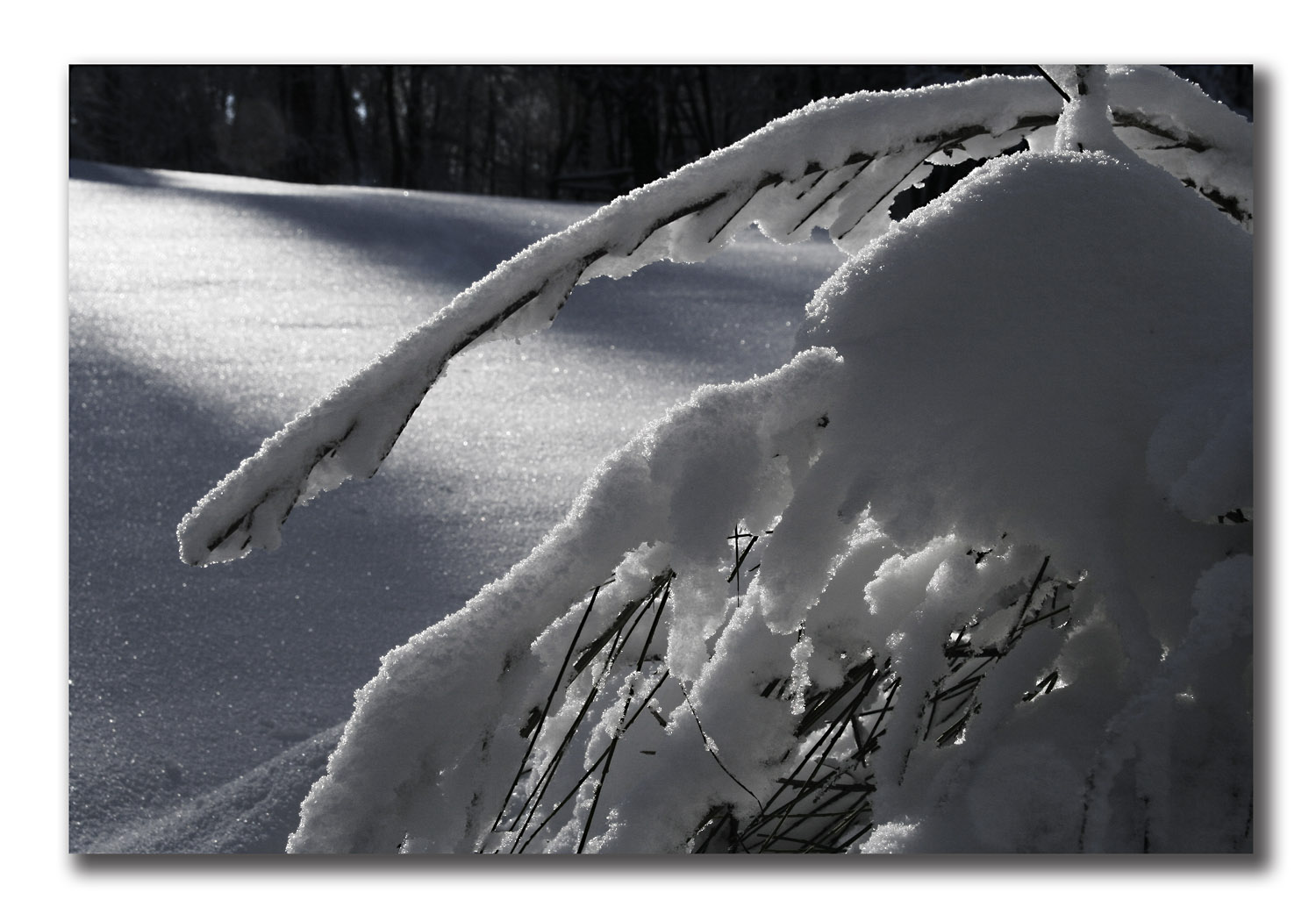 meine erträgliche version von winter