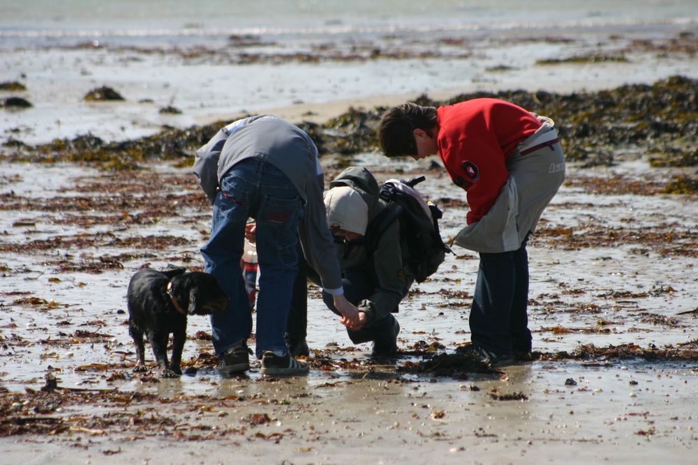 Meine Familie in der Bretagne