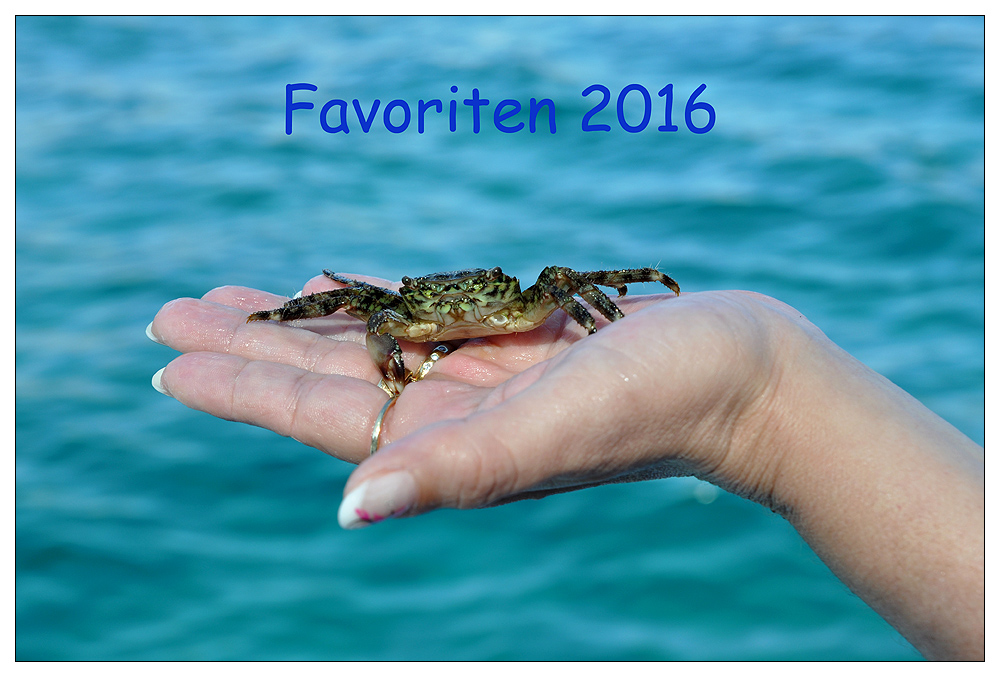 Meine Favoriten 2016