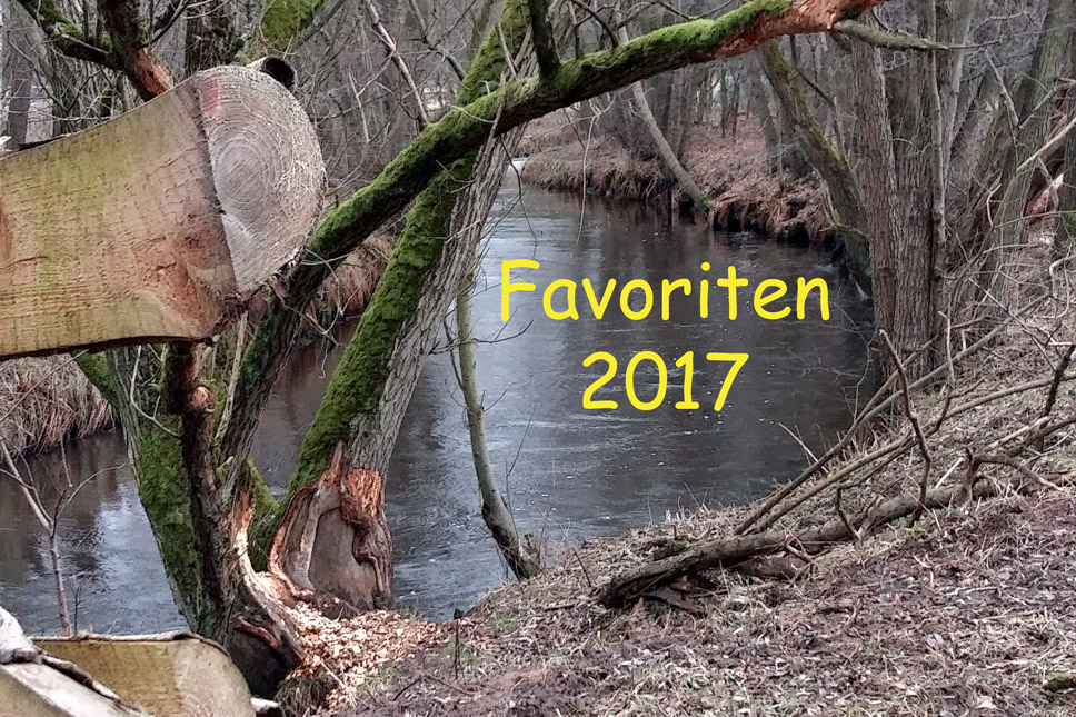 Meine Favoriten 2017