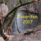 Meine Favoriten 2017