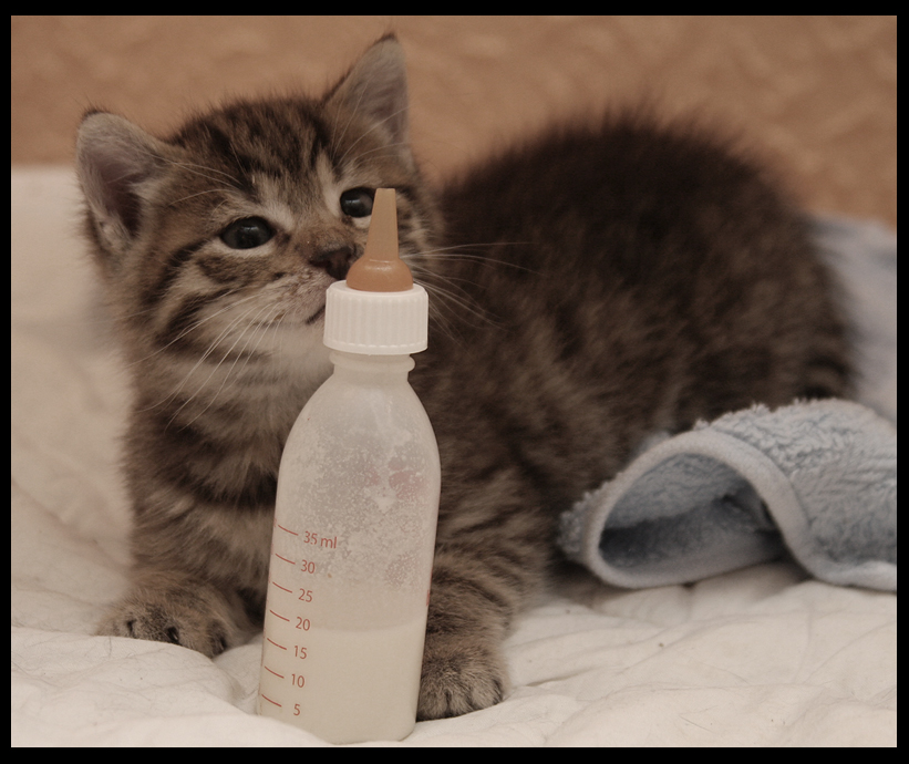 Meine Flasche und ich