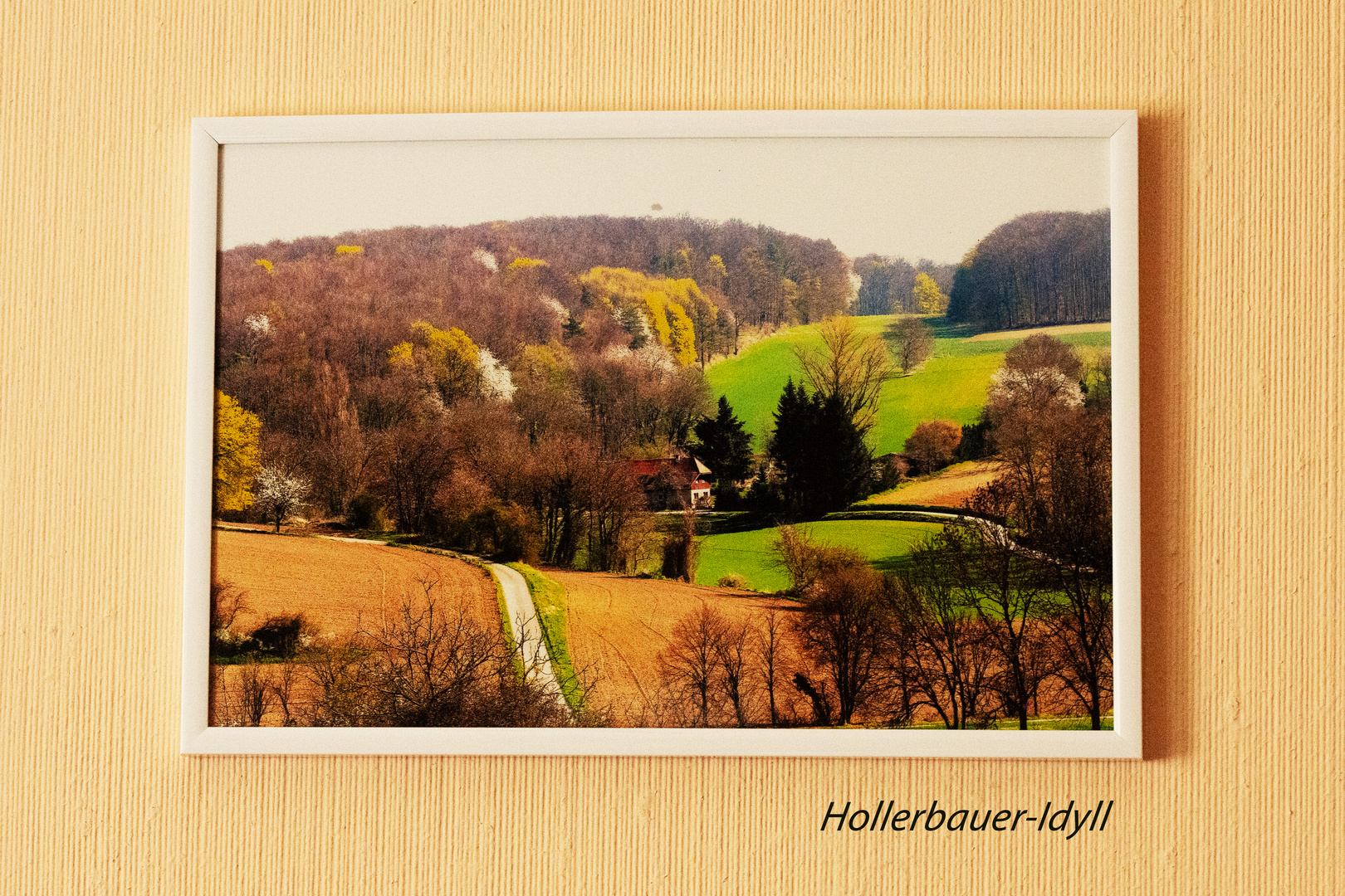 Meine Fotowand: Hollerbauer-Idyll