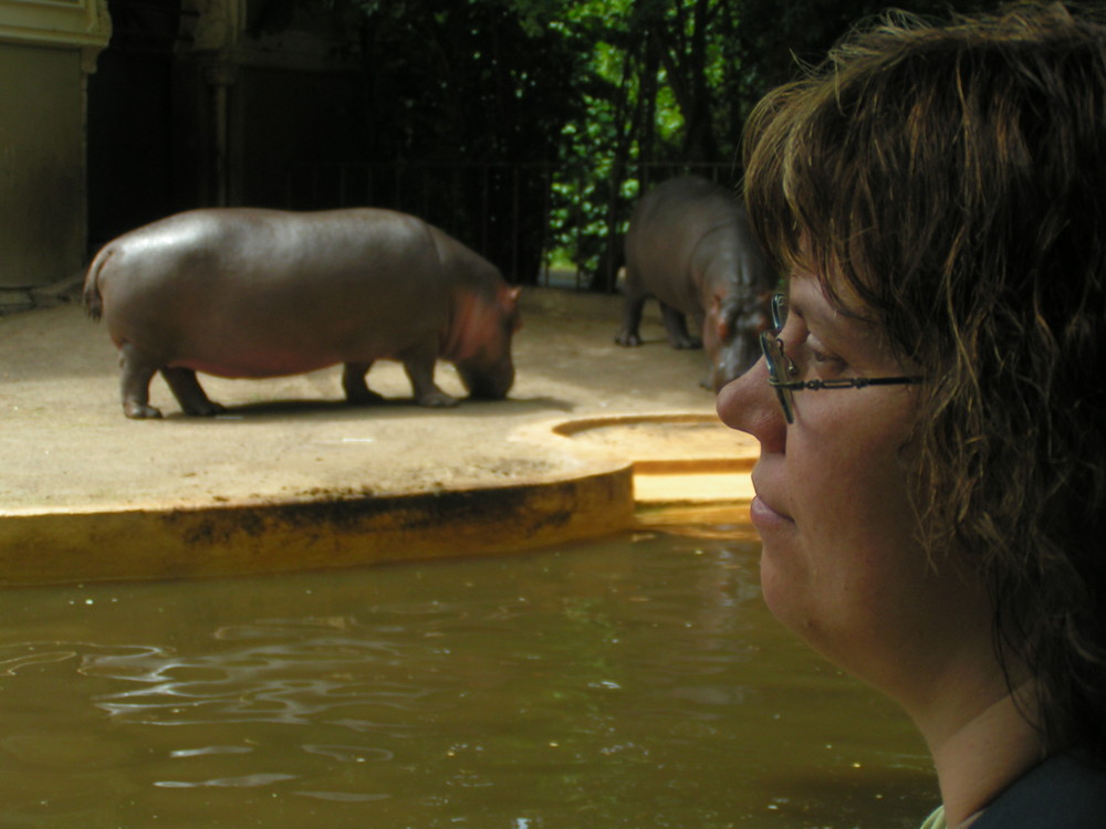 meine Frau und das NIlpferd