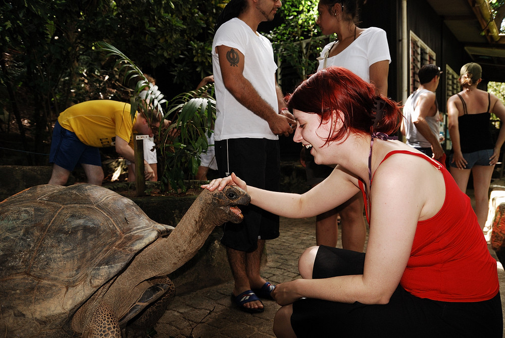 Meine Frau und die Schildkröte