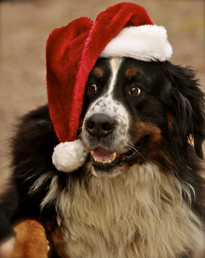 Meine Frau und Ich wünschen Euch allen einen schönen Nikolaustag.