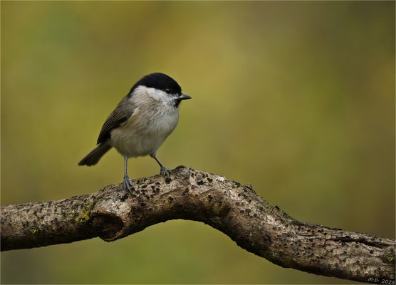 Meine Freude war groß ...